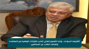 القائمة السوداء.. وزارة التعليم العالي تحارب الكيانات الوهمية غير المعتمدة وتكشف النقاب عن المخالفين